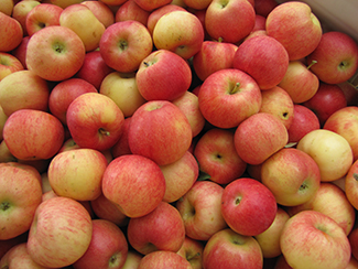 A Pile of Red Gala Apples
